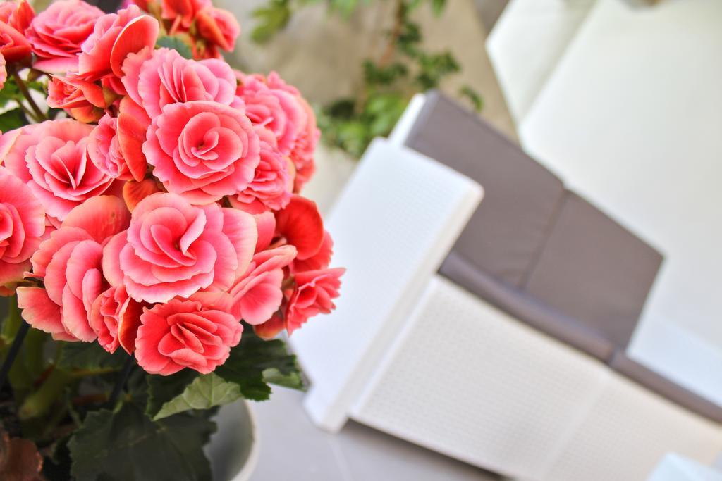 Park Hotel Castrocaro Terme Dış mekan fotoğraf